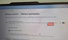 Delivery optimization feature on Windows 11 laptop