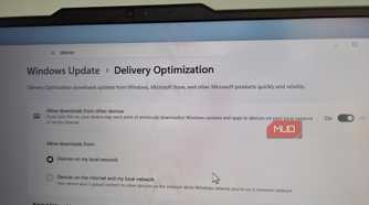 Delivery optimization feature on Windows 11 laptop