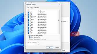Disabling content indexing on Windows