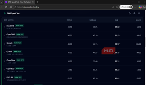DNS Speed Test results in a browser