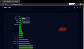 DNS Speed Test results in browser