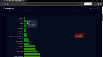 DNS Speed Test results in browser