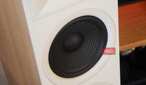 The woofer on a JBL floor speaker.