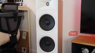 A JBL floor speaker.