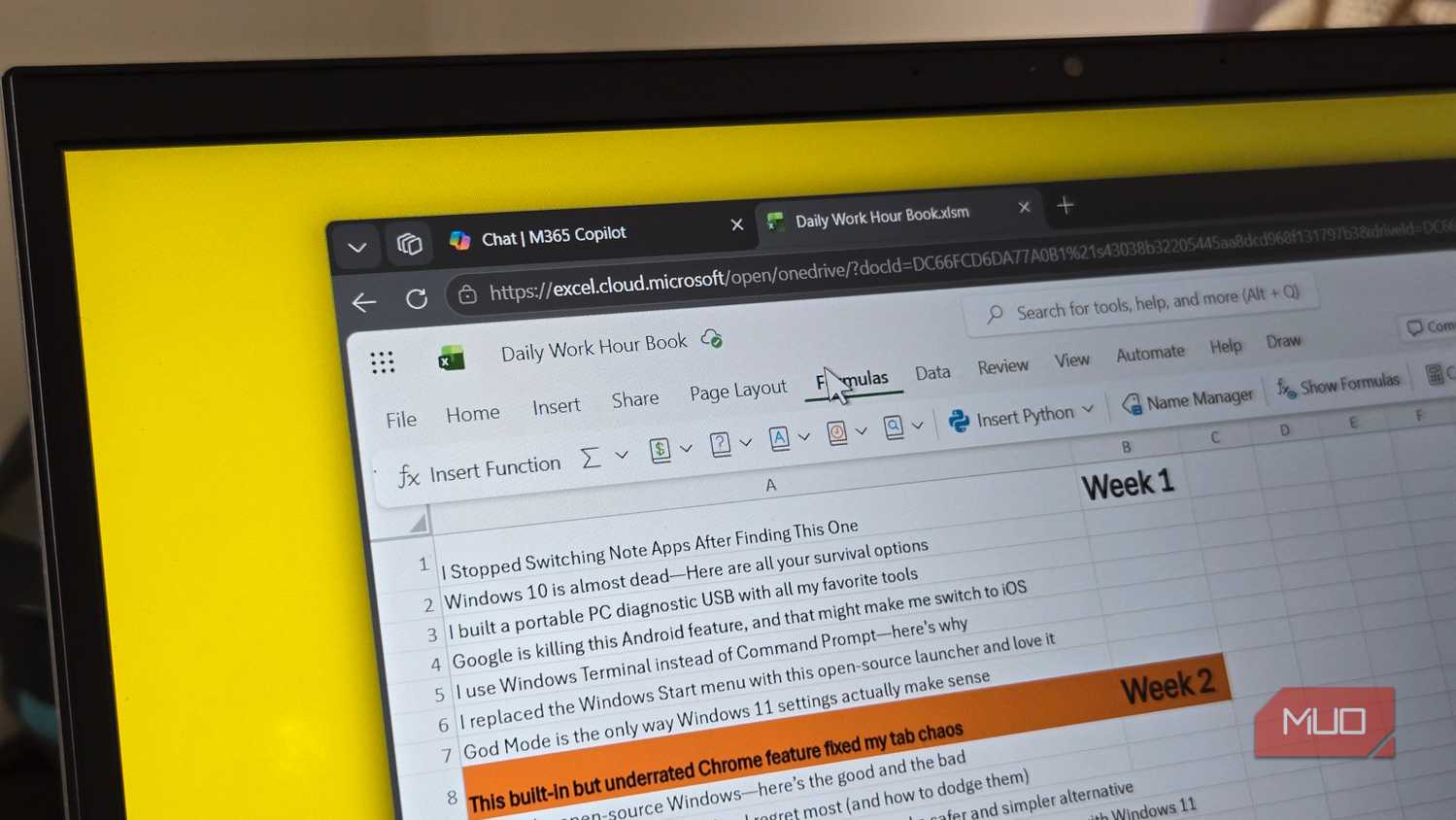 Excel document open on a web browser