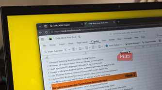 Excel document open on a web browser