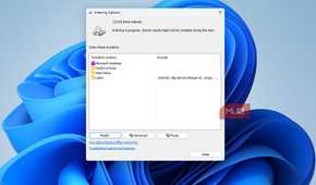 Index Options on Windows