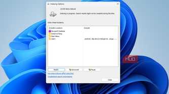 Index Options on Windows