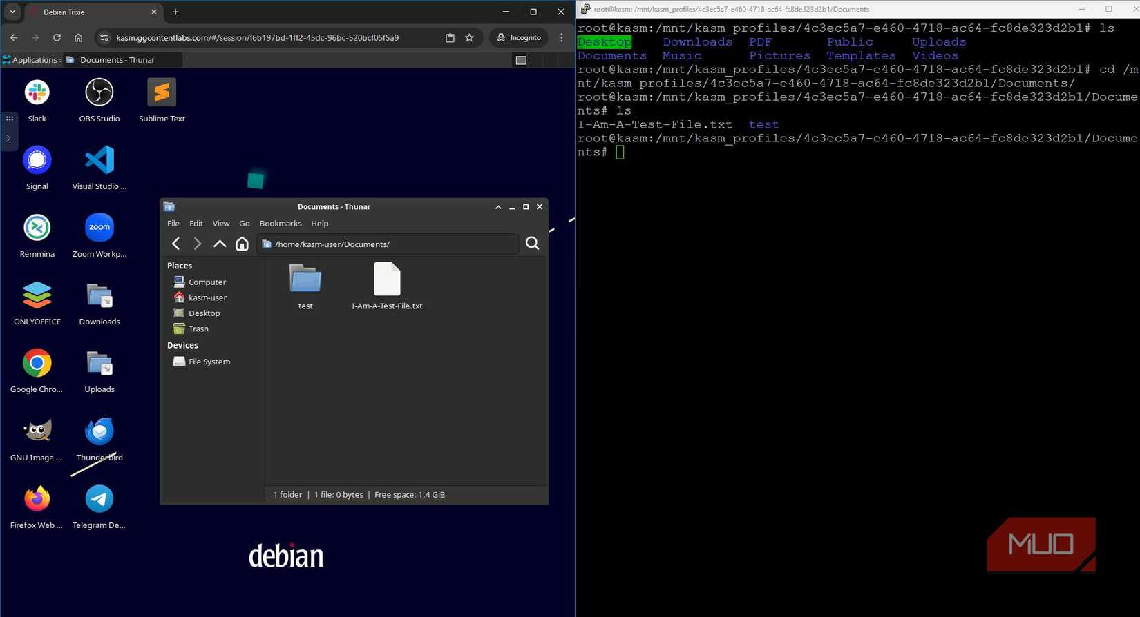 Split screen view of KASM persistent profiles in desktop and host