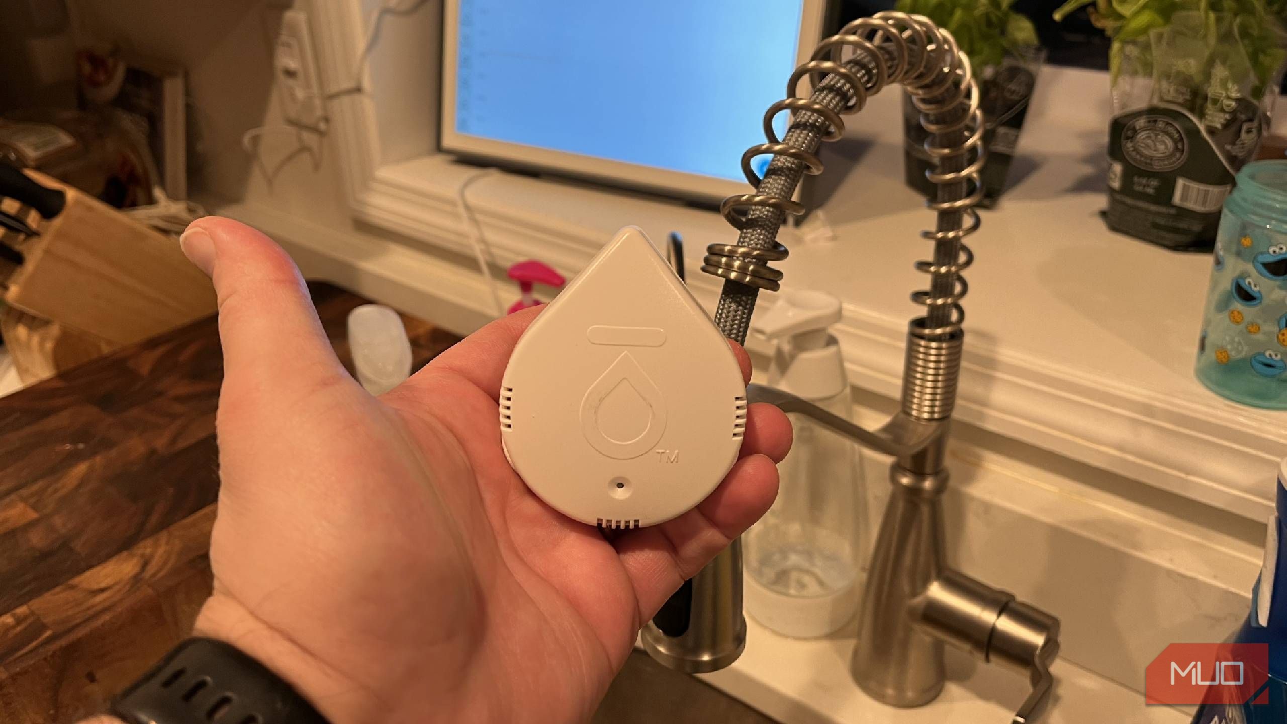 A Moen Leak Detector near a faucet