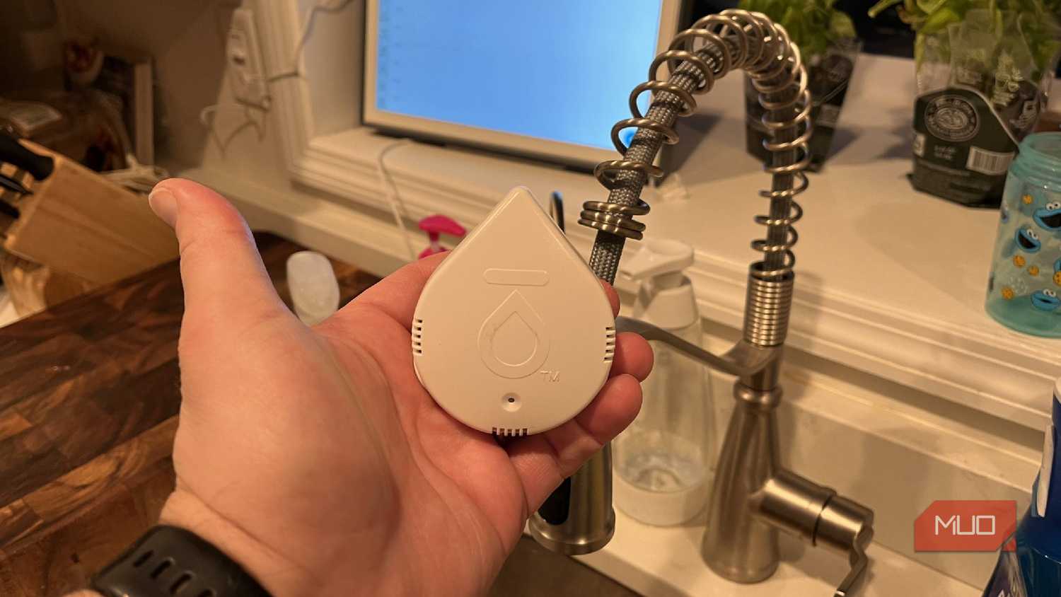 A Moen Leak Detector near a faucet