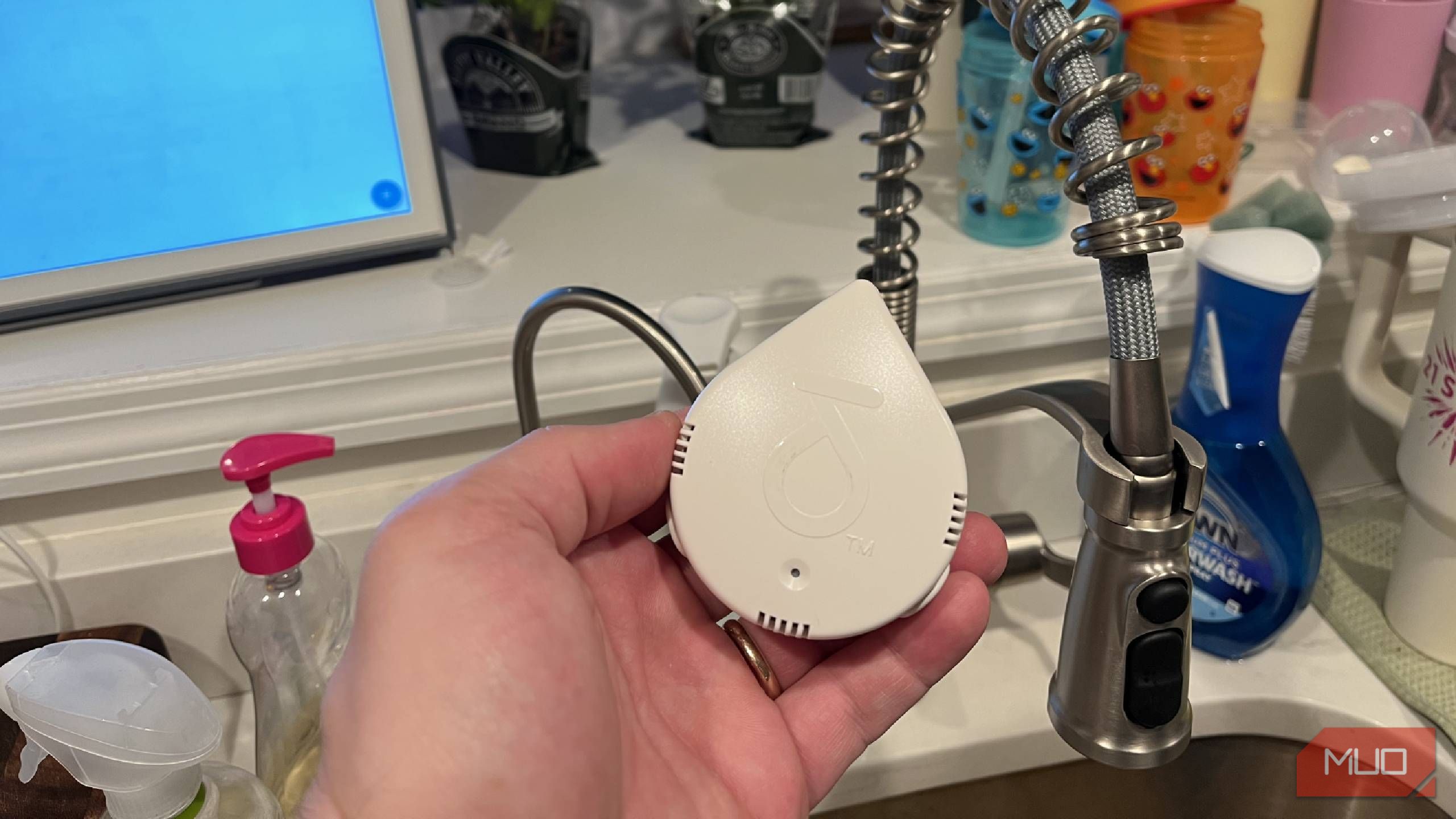 A Moen Leak Detector held