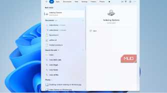 Opening Windows Indexing