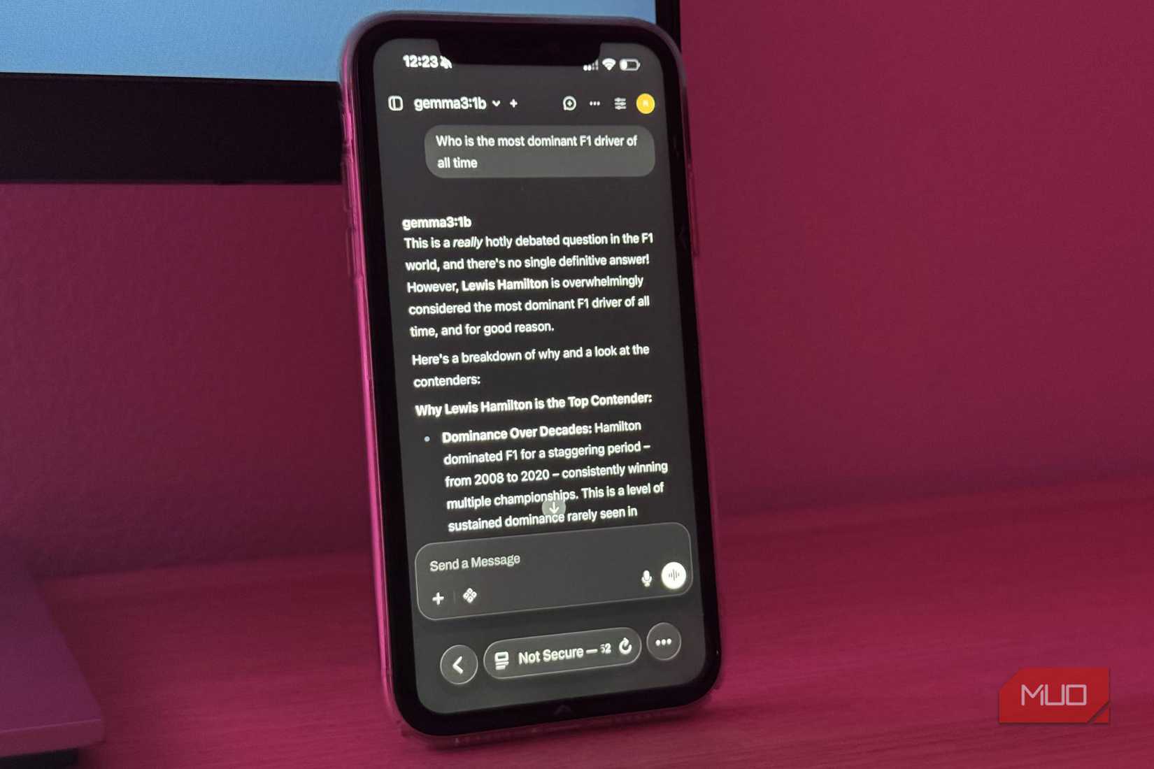OpenWebUI on an iPhone