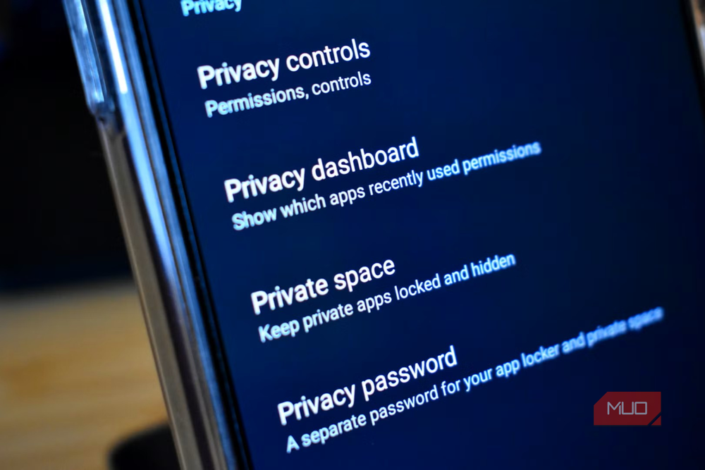 Privacy dashboard settings where users can manage connected accounts