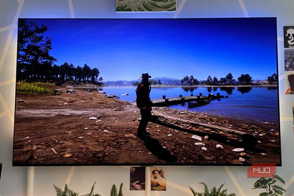Red Dead Redemption 2 running on an OLED display