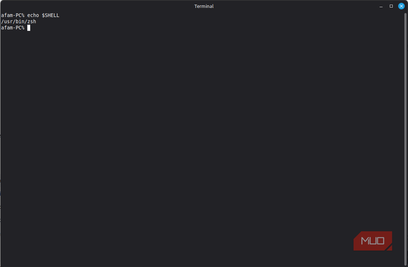 running echo shell command