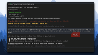 OpenClaw setting up reminders