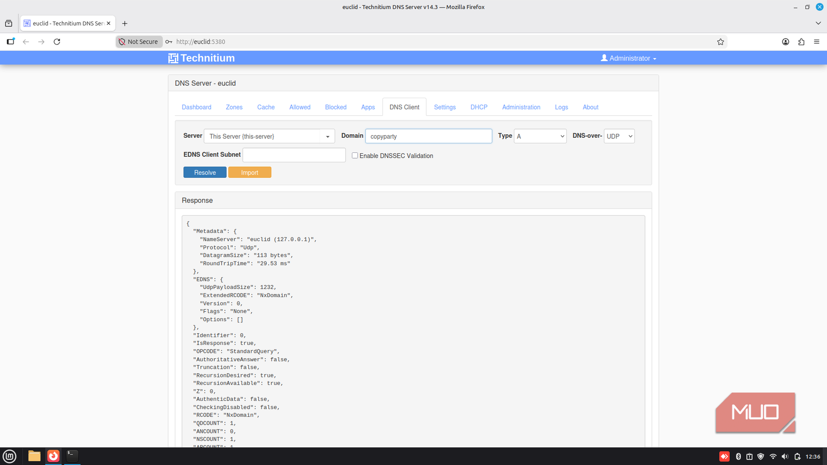 Technitium DNS Server DNS client page.