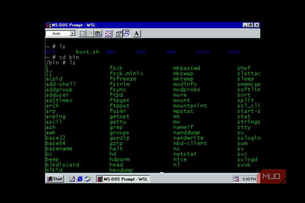 Viewing files within the WSL9x environment