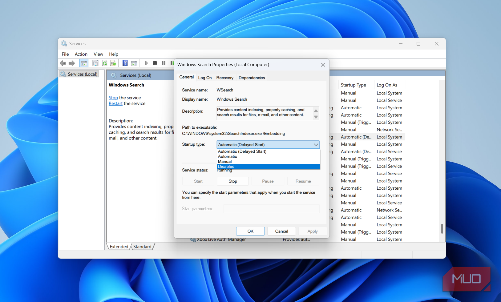 Windows search service on Windows