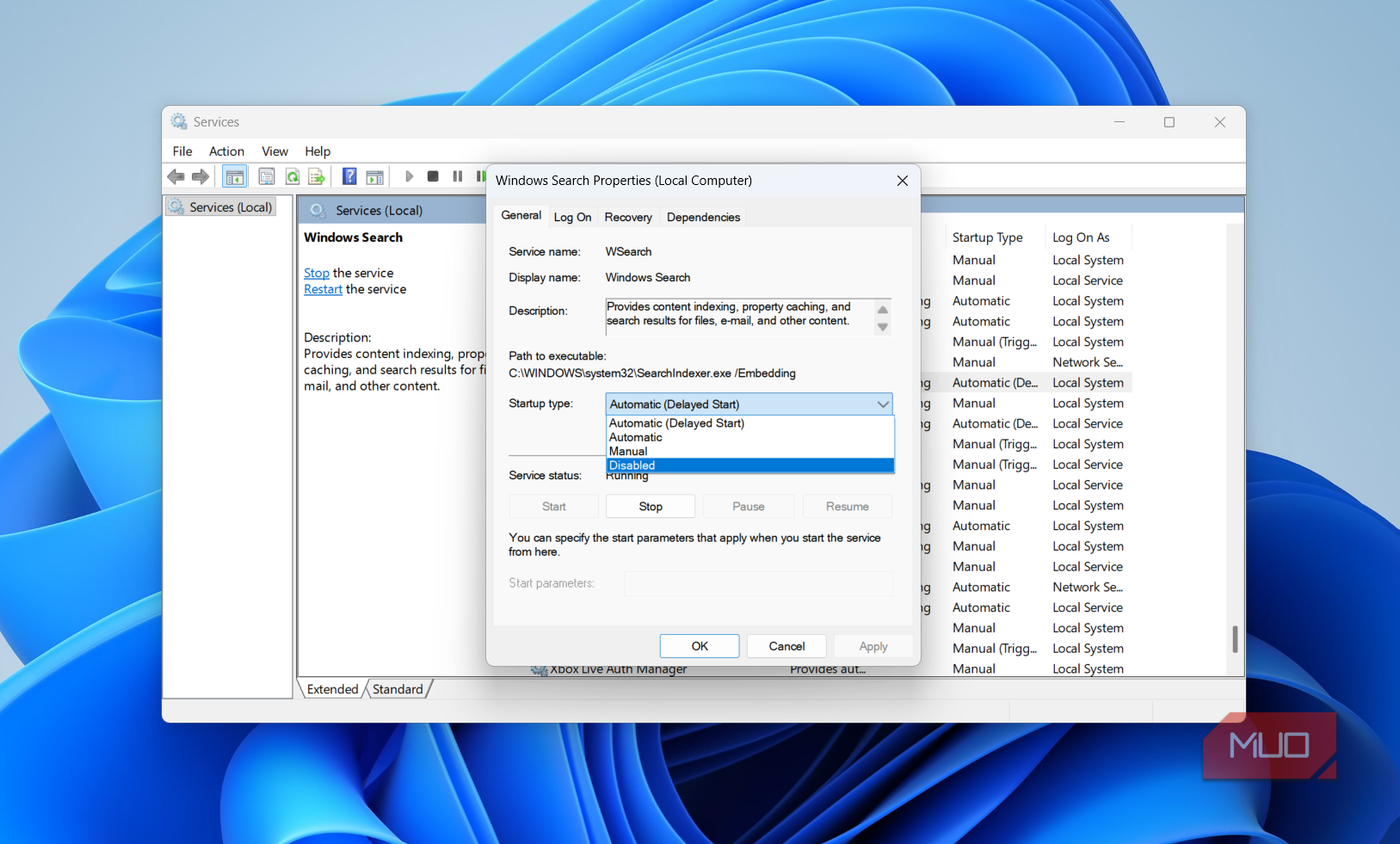 Windows search service on Windows