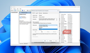Windows search service on Windows