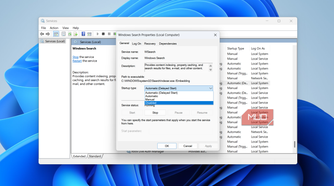 Windows search service on Windows