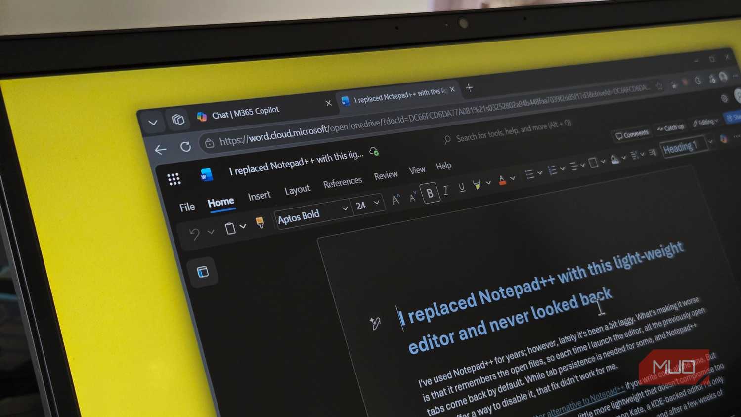 Word document open on a web browser