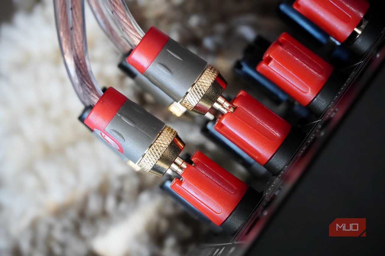 A close-up of banana plugs connected to a receiver.