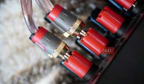 A close-up of banana plugs connected to a receiver.