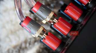A close-up of banana plugs connected to a receiver.