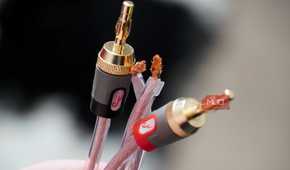 Banana plugs compared to bare copper speaker wire.