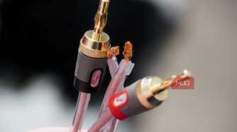 Banana plugs compared to bare copper speaker wire.