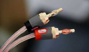 Banana plugs connected to speaker wire.