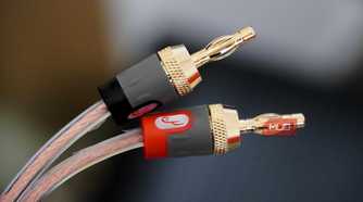 Banana plugs connected to speaker wire.
