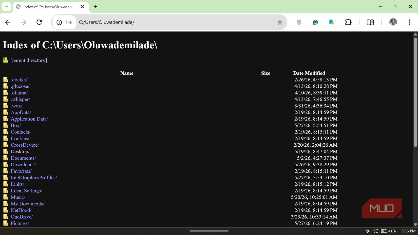 Chrome browser displaying a local file directory index with a dark background.