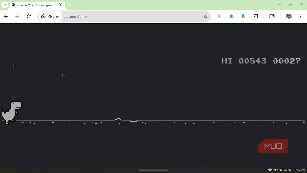 Chrome's dinosaur game runs anytime via chrome://dino