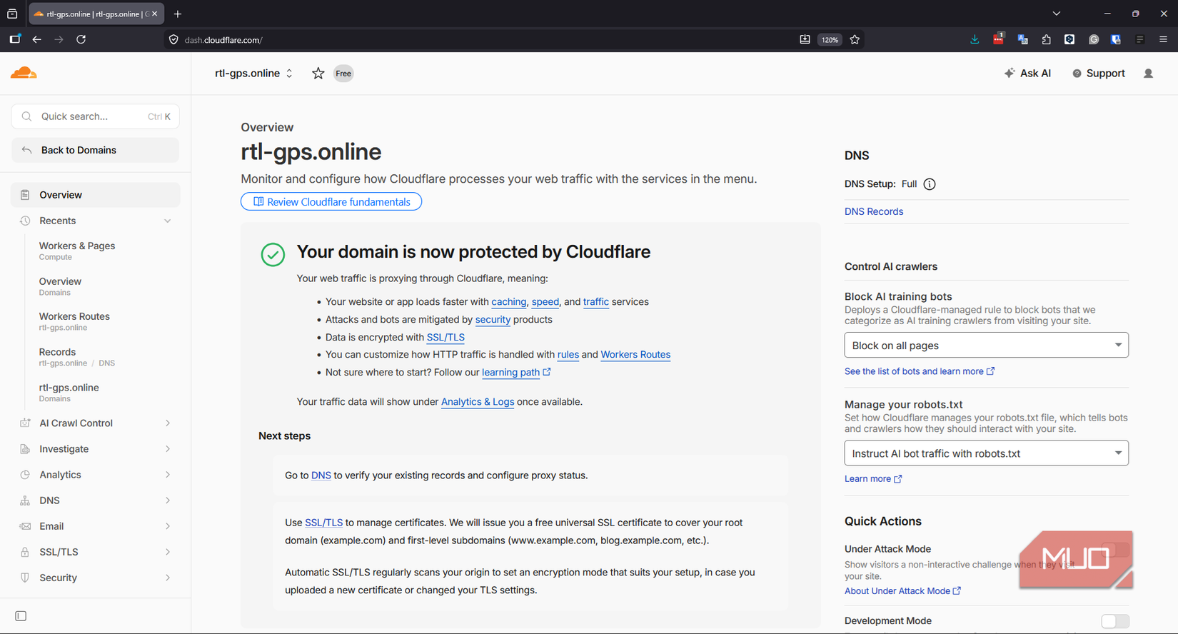 Domain now protected by Cloudflare overview page