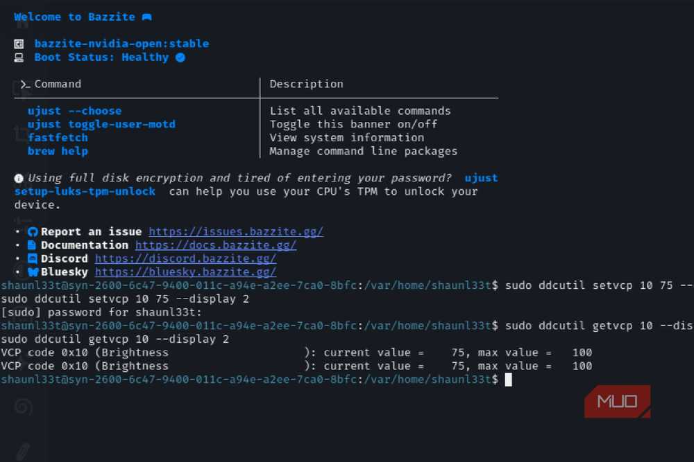 ddcutil running in terminal to adjust monitor brightness