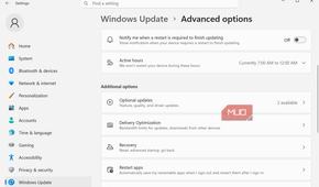 Delivery Optimization Settings option