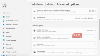 Delivery Optimization Settings option