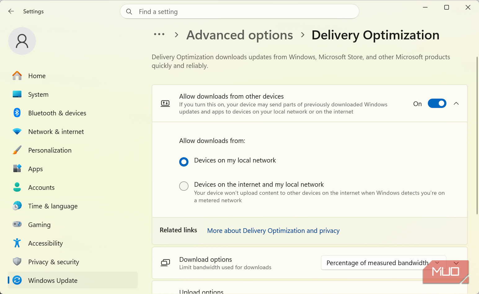 Delivery Optimization toogle