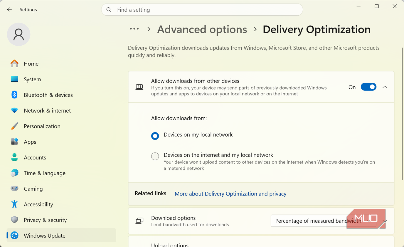 Delivery Optimization toogle