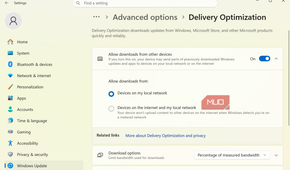 Delivery Optimization toogle