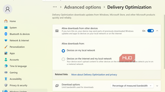 Delivery Optimization toogle
