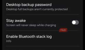 Developer Options menu on Samsung phone