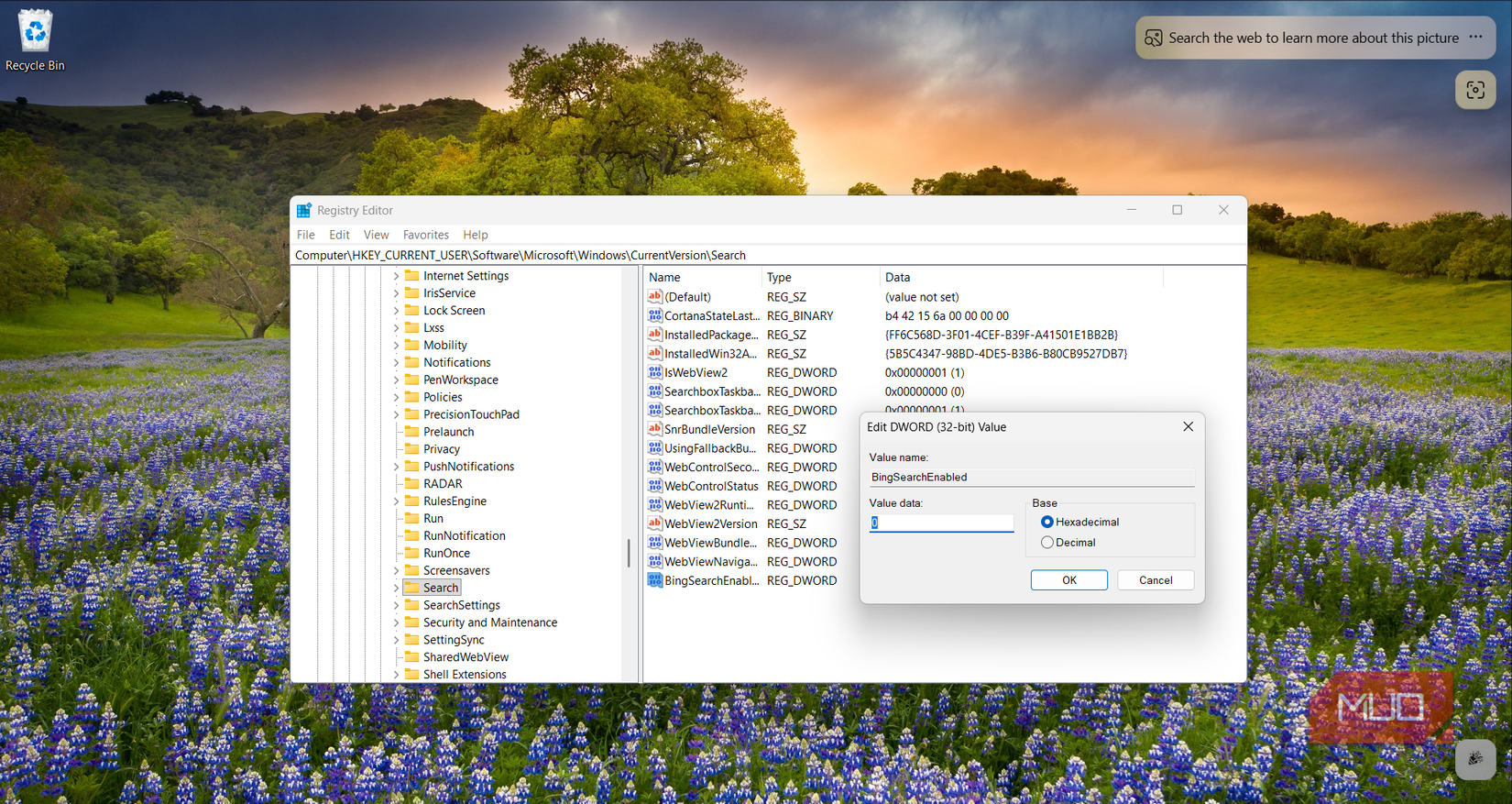 Disabling Bing web results in Start Search