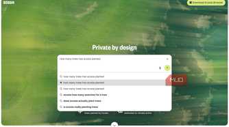 Ecosia search drop-down