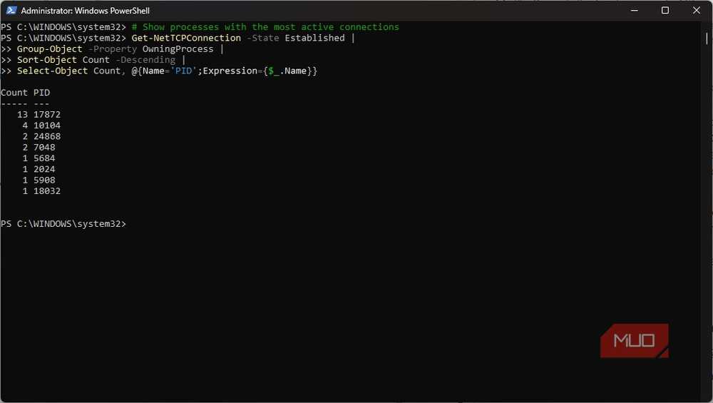 Identifying applications with active network connections